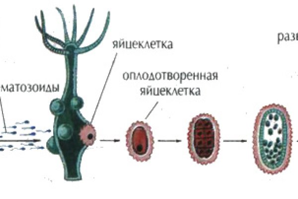 Кракен анион