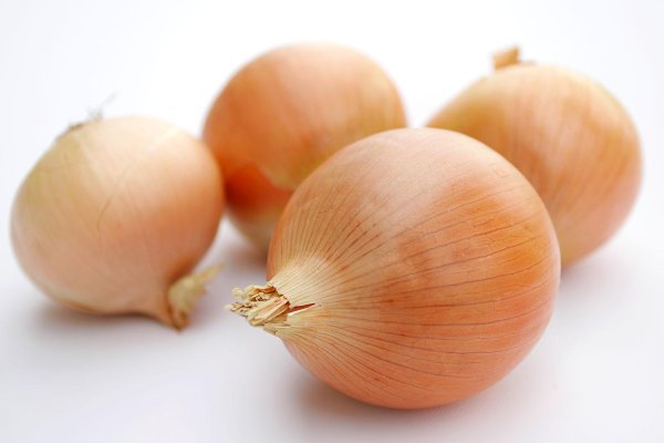 Krmp.cc onion shop