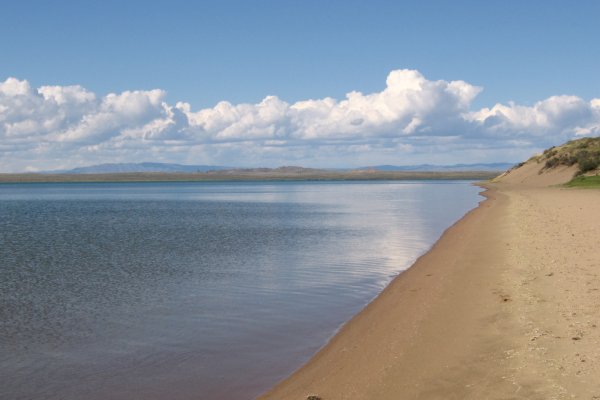 Как сделать заказ на кракен