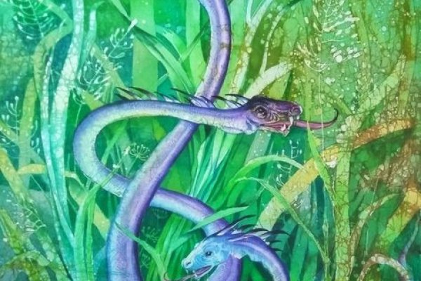 Kraken 15 at