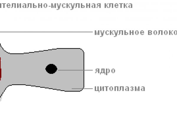 Кракен даркнет ссылка kraken link24 info