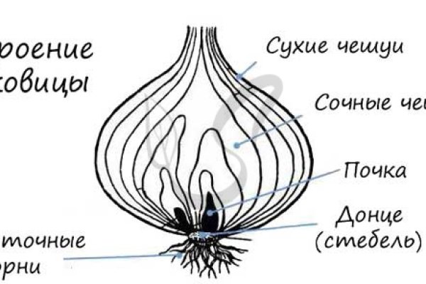 Кракен современный маркетплейс