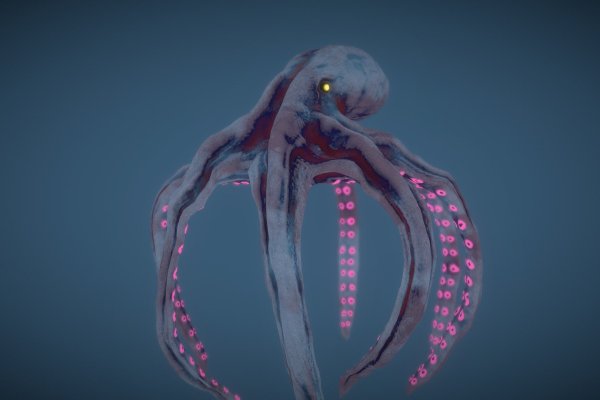 Kraken cc